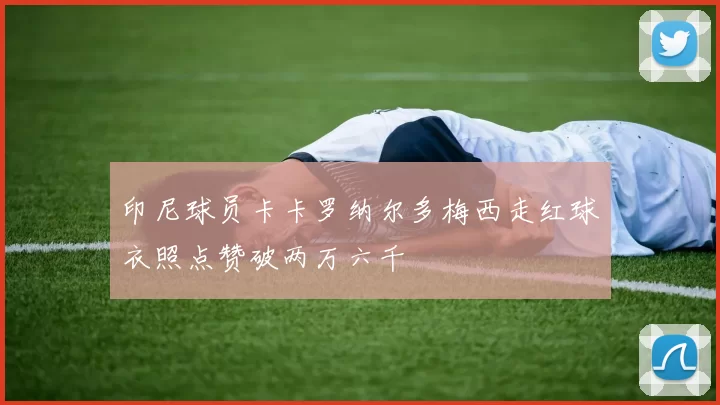 印尼球员卡卡罗纳尔多梅西走红球衣照点赞破两万六千