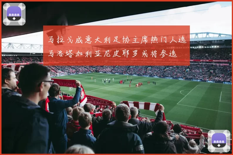 马拉戈成意大利足协主席热门人选马洛塔加利亚尼皮耶罗或将参选