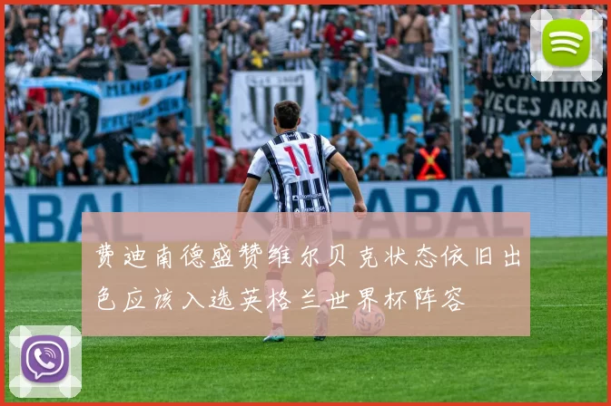 费迪南德盛赞维尔贝克状态依旧出色应该入选英格兰世界杯阵容